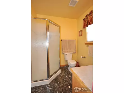 723 Bristle Cone Dr, Severance, CO 80550 photo 11