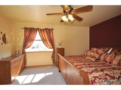 723 Bristle Cone Dr, Severance, CO 80550 photo 10