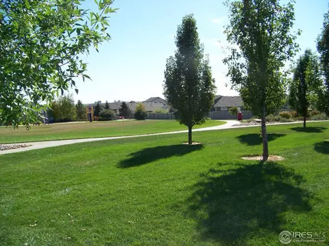 723 Bristle Cone Dr, Severance, CO 80550 photo 19