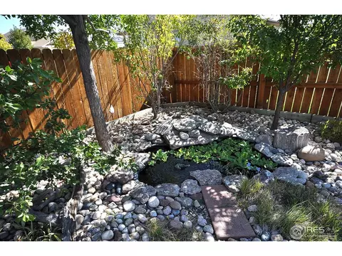 723 Bristle Cone Dr, Severance, CO 80550 photo 16