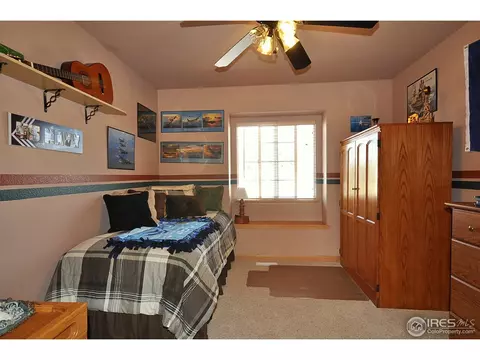 723 Bristle Cone Dr, Severance, CO 80550 photo 12