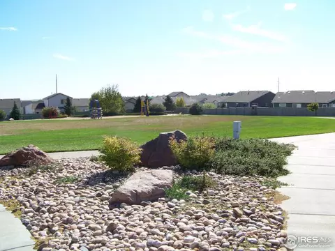 723 Bristle Cone Dr, Severance, CO 80550 photo 20