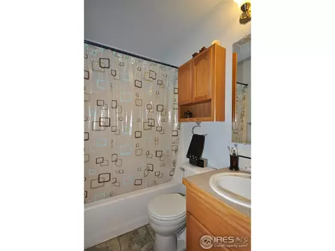723 Bristle Cone Dr, Severance, CO 80550 photo 14