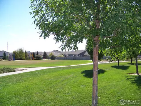 723 Bristle Cone Dr, Severance, CO 80550 photo 18