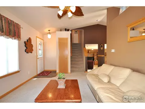 723 Bristle Cone Dr, Severance, CO 80550 photo 3