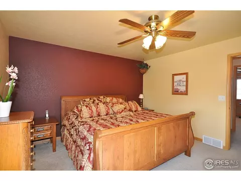 723 Bristle Cone Dr, Severance, CO 80550 photo 9