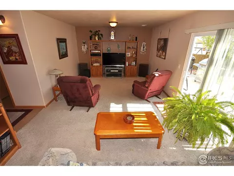 723 Bristle Cone Dr, Severance, CO 80550 photo 7