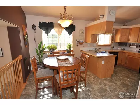 723 Bristle Cone Dr, Severance, CO 80550 photo 5