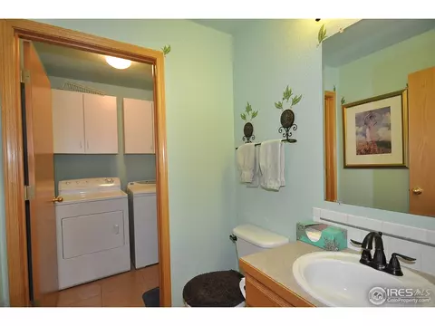 723 Bristle Cone Dr, Severance, CO 80550 photo 8
