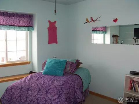 723 Bristle Cone Dr, Severance, CO 80550 photo 13