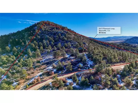 Other - 2613 Pheasant Loop, Westcliffe, CO 81252 photo 12 of 15