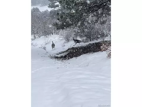 Other - 2613 Pheasant Loop, Westcliffe, CO 81252 photo 14 of 15