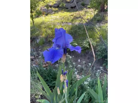 Other - 2613 Pheasant Loop, Westcliffe, CO 81252 photo 13 of 15