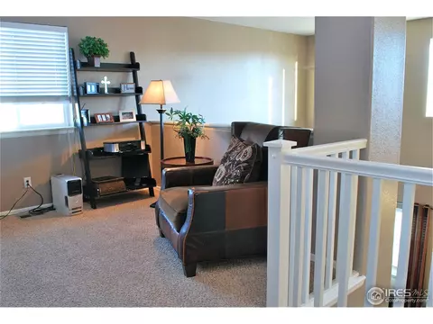 6691 E 129th Ave, Thornton, CO 80602 photo 12