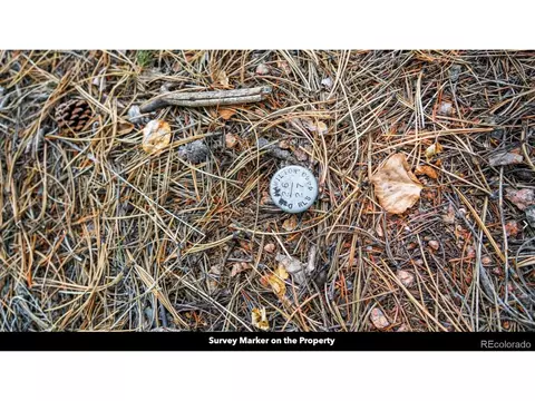 8 Horseshoe Dr, Divide, CO 80814 photo 10