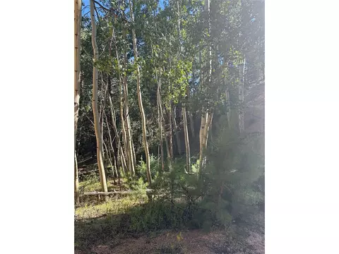 8 Horseshoe Dr, Divide, CO 80814 photo 7