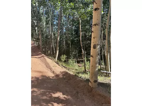 8 Horseshoe Dr, Divide, CO 80814 photo 8