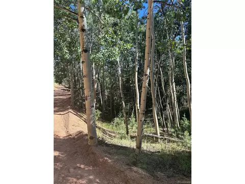 8 Horseshoe Dr, Divide, CO 80814 photo 6