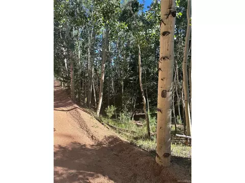 8 Horseshoe Dr, Divide, CO 80814 photo 4