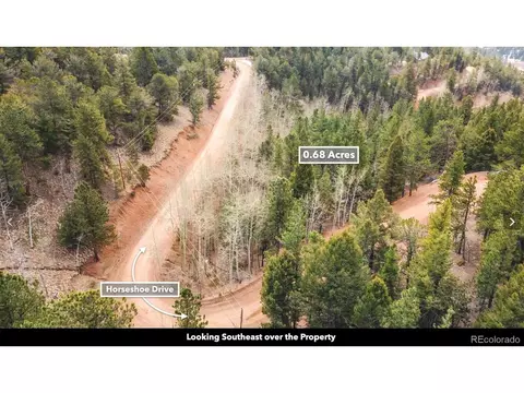 8 Horseshoe Dr, Divide, CO 80814 photo 3