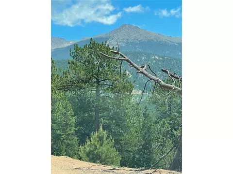 8 Horseshoe Dr, Divide, CO 80814 photo 2