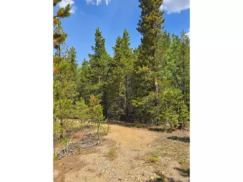 0 Virginia Canyon Rd, Central City, CO 80427