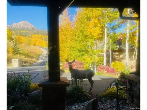 2030 Currant Way, Silverthorne, CO 80498 photo 36