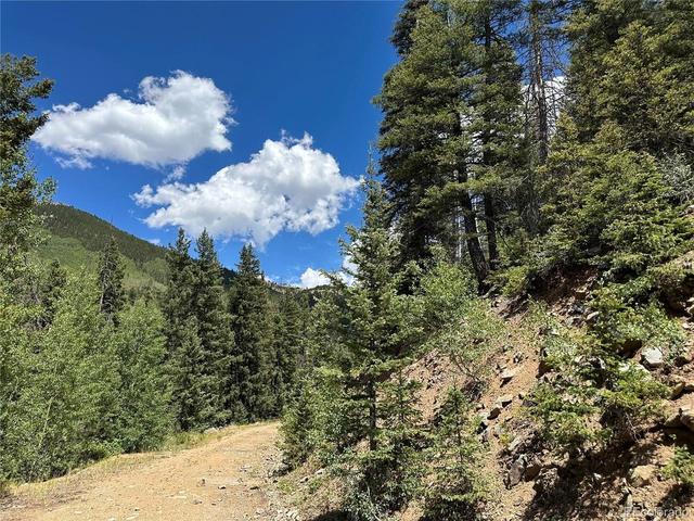 Ryland Rd, Fort Garland, CO 81133