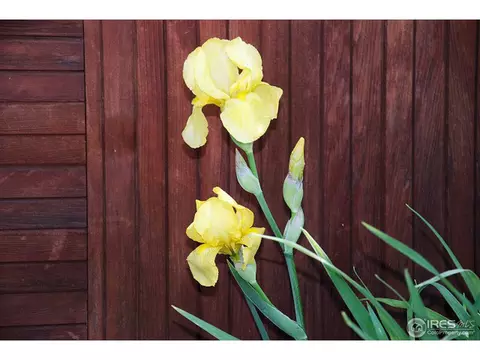 4250 Eutaw Dr, Boulder, CO 80303 photo 16