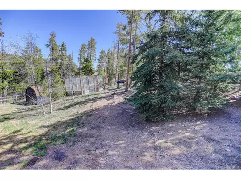 12229 Circle Dr, Conifer, CO 80433 photo 34