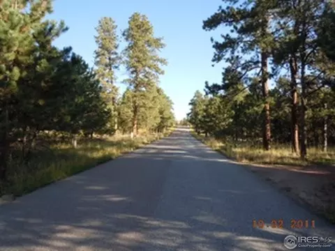 13383 S Omaha St, Pine, CO 80470 photo 11