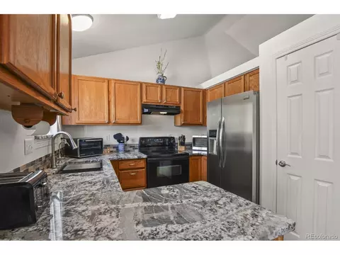 1249 E 96th Pl, Thornton, CO 80229 photo 2