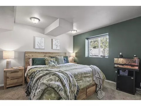 1249 E 96th Pl, Thornton, CO 80229 photo 24