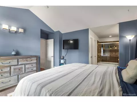 1249 E 96th Pl, Thornton, CO 80229 photo 8