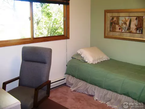 811 E 5th Ave, Lyons, CO 80540 photo 15