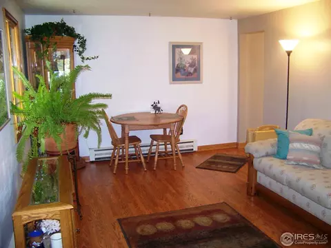 811 E 5th Ave, Lyons, CO 80540 photo 8