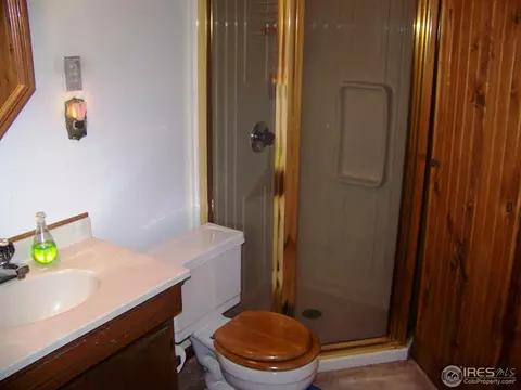 811 E 5th Ave, Lyons, CO 80540 photo 16