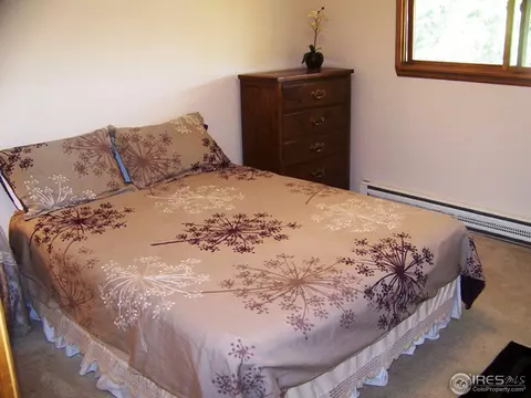 811 E 5th Ave, Lyons, CO 80540 photo 12