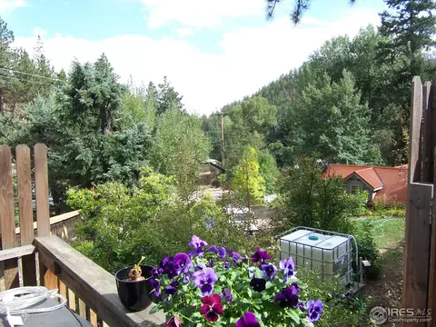 223 Gold Run Rd, Boulder, CO 80302 photo 12