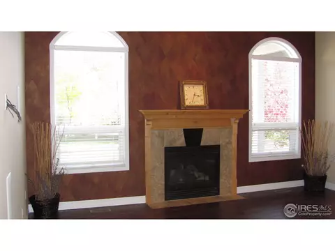 8298 Annapolis Dr, Windsor, CO 80528 photo 16