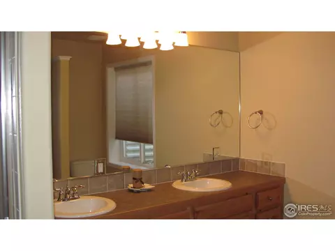 8298 Annapolis Dr, Windsor, CO 80528 photo 17