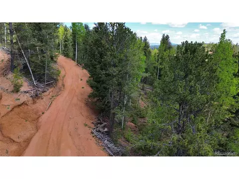 County Road 61 Ct Rd, Divide, CO 80814 photo 17