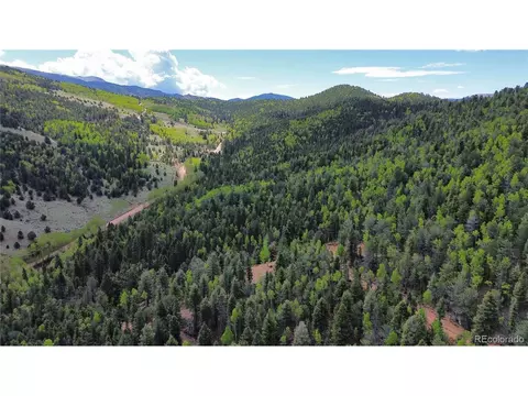 County Road 61 Ct Rd, Divide, CO 80814 photo 7