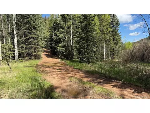 County Road 61 Ct Rd, Divide, CO 80814 photo 31