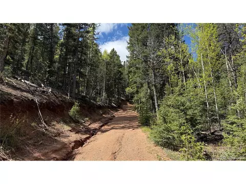 County Road 61 Ct Rd, Divide, CO 80814 photo 33