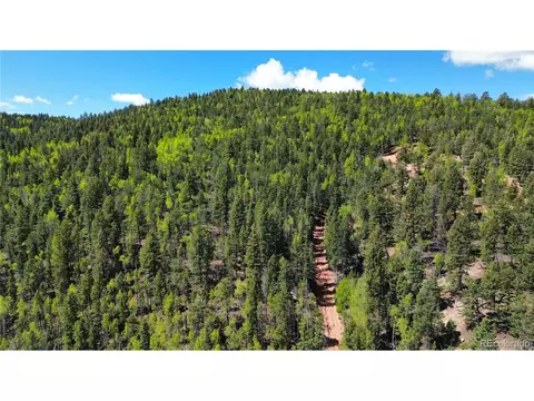 County Road 61 Ct Rd, Divide, CO 80814 photo 26