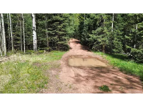 County Road 61 Ct Rd, Divide, CO 80814 photo 28