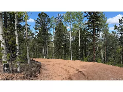 County Road 61 Ct Rd, Divide, CO 80814 photo 46