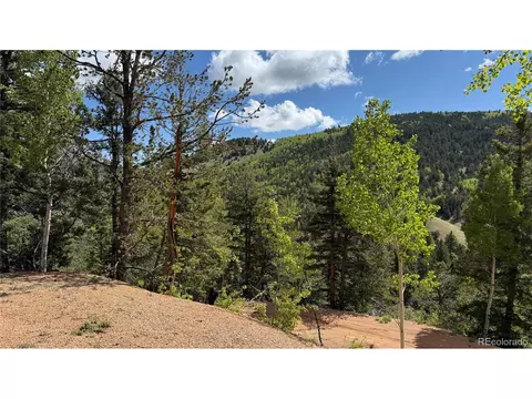 County Road 61 Ct Rd, Divide, CO 80814 photo 36