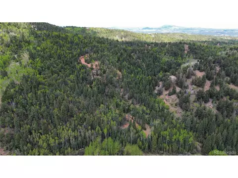 County Road 61 Ct Rd, Divide, CO 80814 photo 8